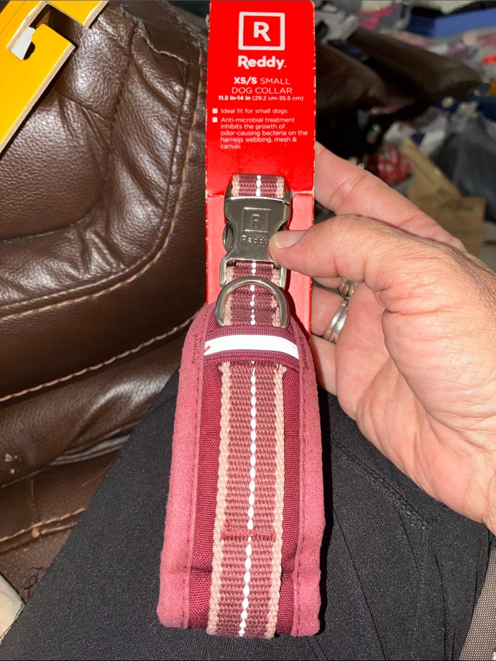 Reddy pet  Burgundy and White Padded Collar